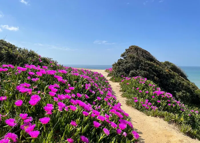 Marine 알부페이라