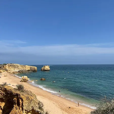 فيلة Marine البوفيرا